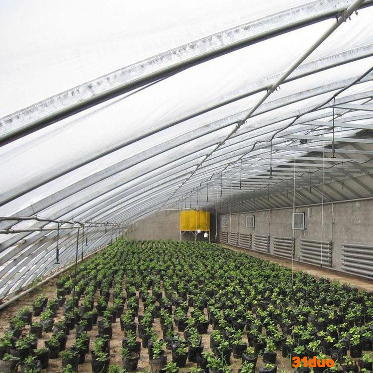 梅花大棚管 河北花卉种植棚 养殖大棚