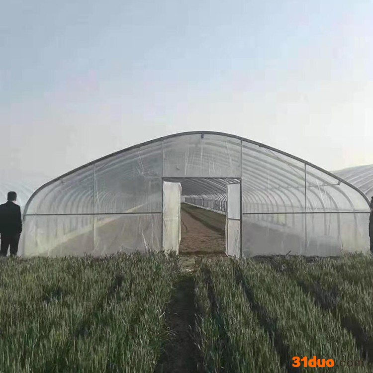 梅花大棚管 天津大棚设计 花卉大棚