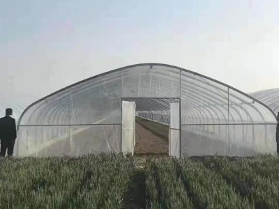 梅花大棚管 天津大棚设计 花卉大棚