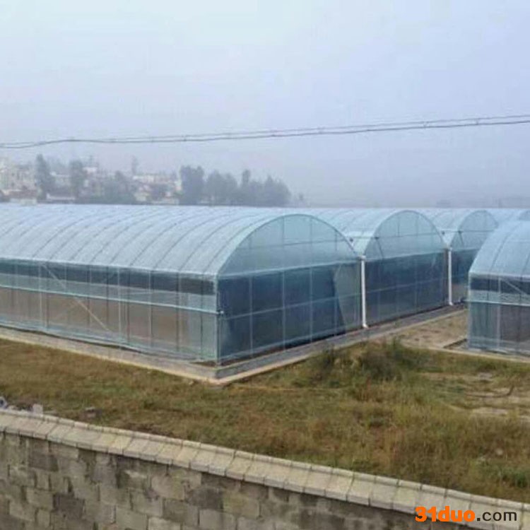 阳光温室 花卉连栋大棚 蔬菜大棚