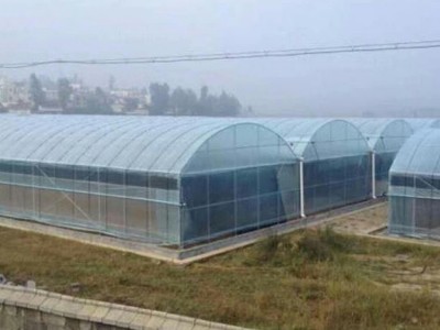 阳光温室 花卉连栋大棚 蔬菜大棚