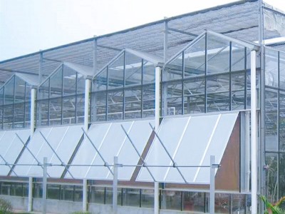 花卉温室大棚设计 山东薄膜连栋温室承接