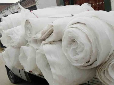 园艺花卉防虫网  厂家供应 尼龙防虫网 30目防虫网