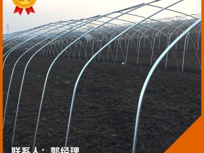 甘肃地区  25*1.5 4分大棚管 花卉钢架大棚 热镀锌大棚管枸杞大棚