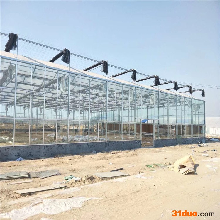 齐阳玻璃大棚采用荷兰技术 花卉玻璃温室外形美观智能玻璃温室大棚可自动控温