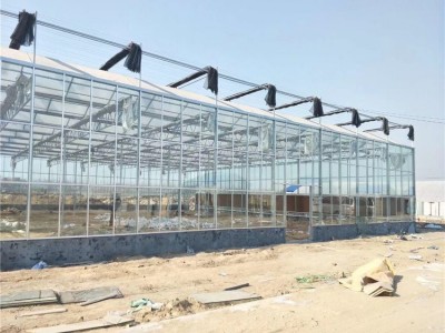 齐阳玻璃大棚采用荷兰技术 花卉玻璃温室外形美观智能玻璃温室大棚可自动控温