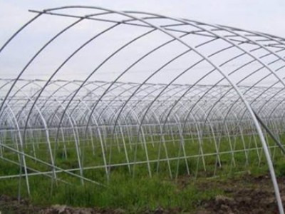 生产供应 花卉大棚 花卉镀锌大棚钢管 天津厂家