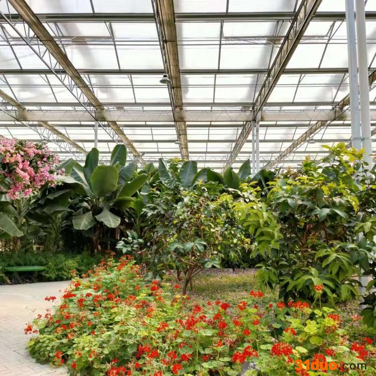 润云 玻璃连栋温室 农业温室大棚 花卉大棚