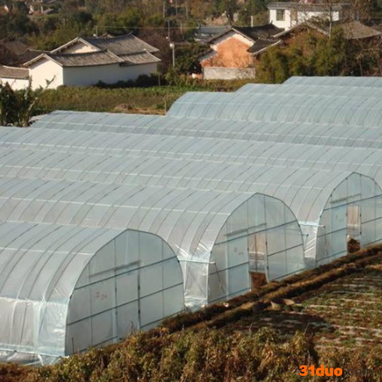 天津大棚管价格 专业养殖大棚 花卉大棚