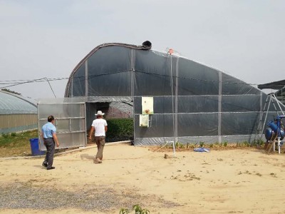 农创温室 花卉大棚 种植大棚