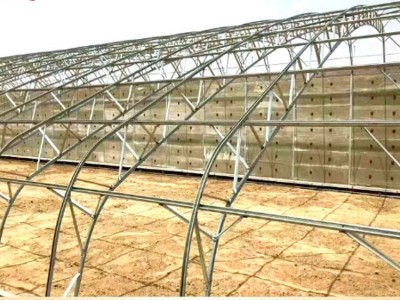 大棚养殖棚 天津大棚设计 锦鲤养殖温室 花卉养殖大棚