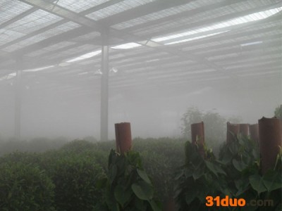 大棚灌溉花卉植物系统 喷淋灌溉