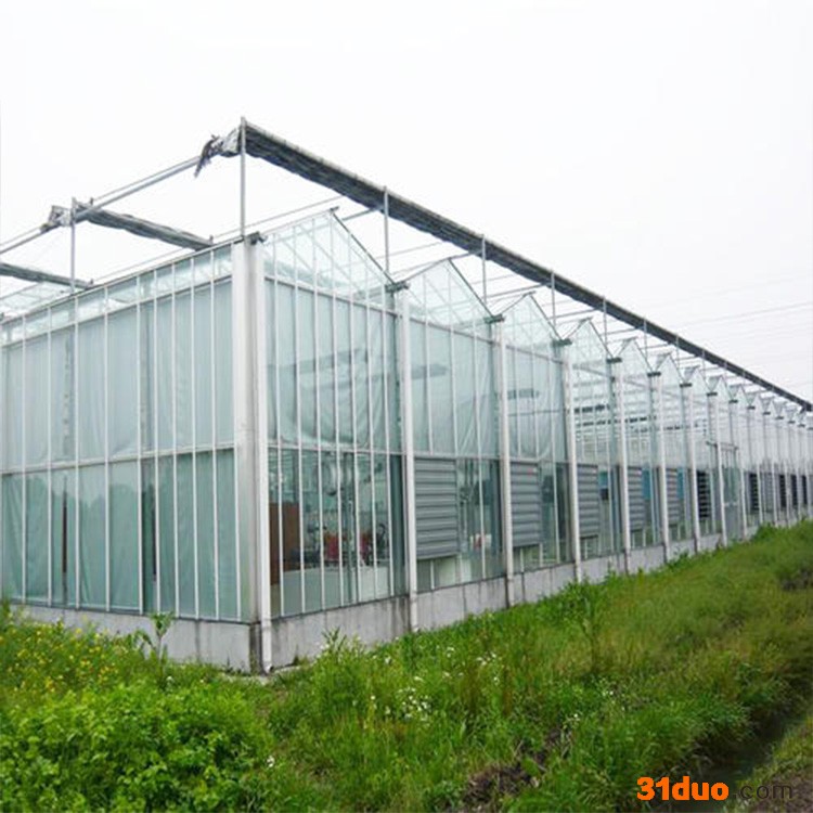 搭建玻璃温室 花卉种植玻璃温室 安装玻璃大棚
