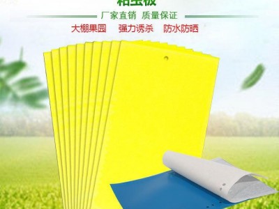 云飞科技 直销 花卉粘虫板品牌 ** 大棚粘虫板价格