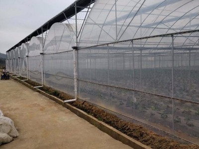 【海华大棚】芜湖棚膜连栋大棚 连栋温室大棚建设 抗风花卉温室大棚