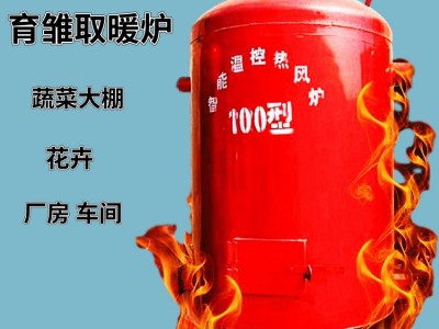 热风炉 蔬菜大棚燃煤热风炉 花卉市场供暖炉