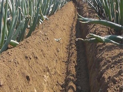 微型翻地松土机 安义县多功能旋耕机 大棚花卉种植耕整机