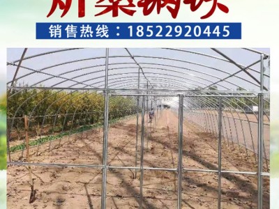 大棚设计厂家 花卉大棚建设 组装大棚 大棚制造厂