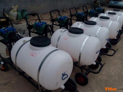 花卉灭虫喷雾器 园林远射程杀虫机 手推式隔离区喷药消毒