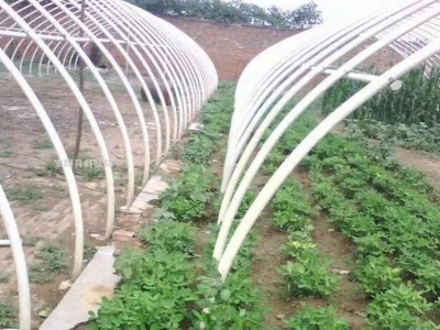 大棚管加工 果树大棚 花卉大棚 天津大棚镀锌扁管