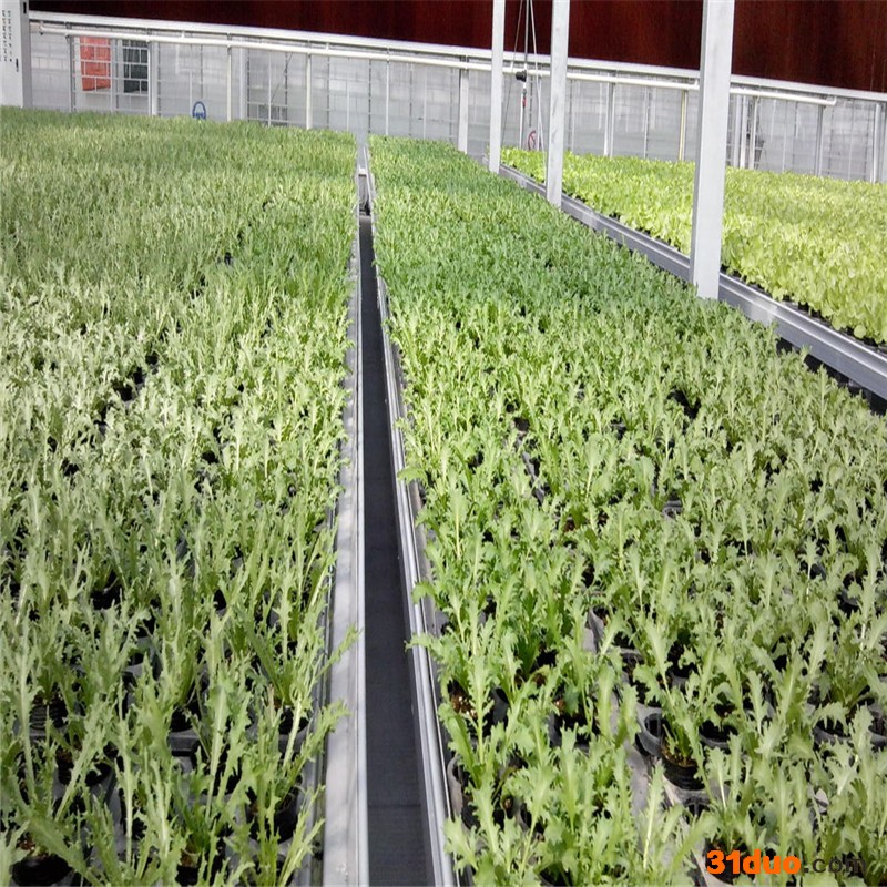 连栋薄膜温室大棚  蔬菜花卉薄膜温室  成本低 采光好