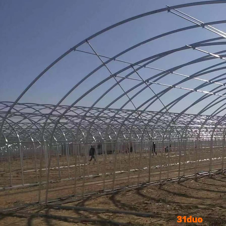 品质 花卉大棚 养猪大棚搭建 独栋养殖大棚骨架