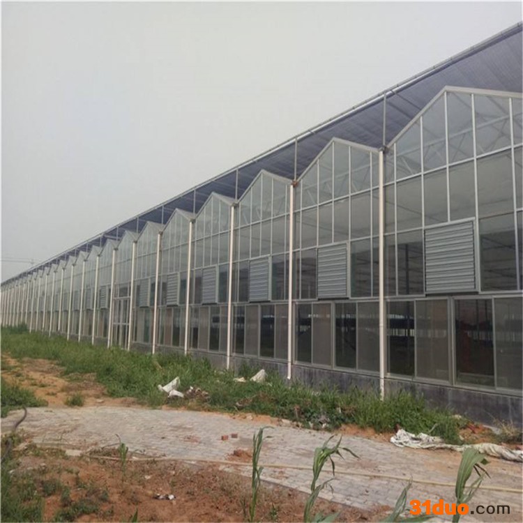 建设玻璃温室 智能温室工程 花卉育苗温室大棚