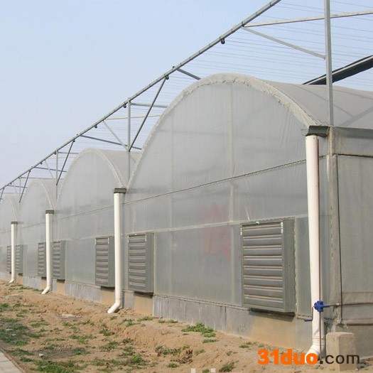 花卉育苗大棚设计 连栋薄膜温室大棚建造商 金枝