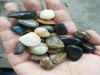 水处理垫层鹅卵石滤料 花卉园林造景鹅卵石