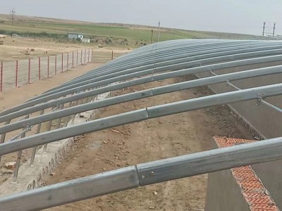 龟背竹养殖大棚管 花卉养殖大棚建造温室大棚管