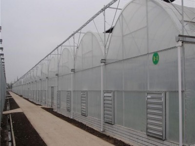 大棚钢管 大棚椭圆管 蔬菜大棚 花卉大棚 蛋鸡养殖大棚 植物种植棚 花卉种植棚