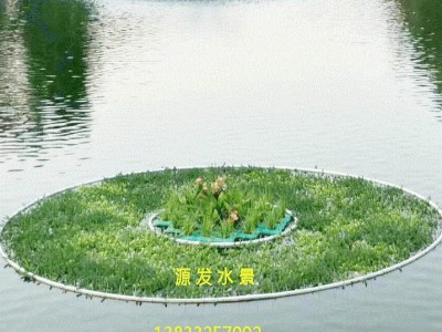 红发水景公司生态浮岛浮床，水生花卉研发栽培与销售专业快速