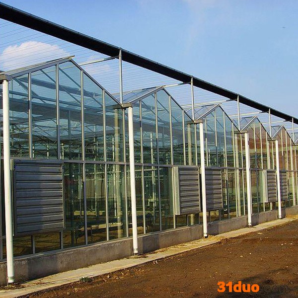 生态玻璃大棚建造 花卉玻璃温室大棚承建 金枝温室