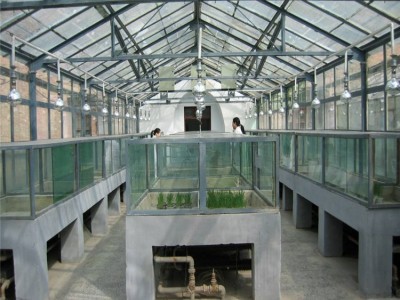 山东承建玻璃温室大棚 玻璃温室大棚建设 花卉育苗温室