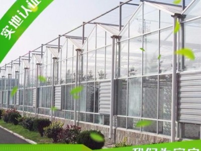 煌城温室大棚 花卉大棚厂家 钢结构温室大棚 全自动化生产农业生产 农业大棚公司 温室大棚公司