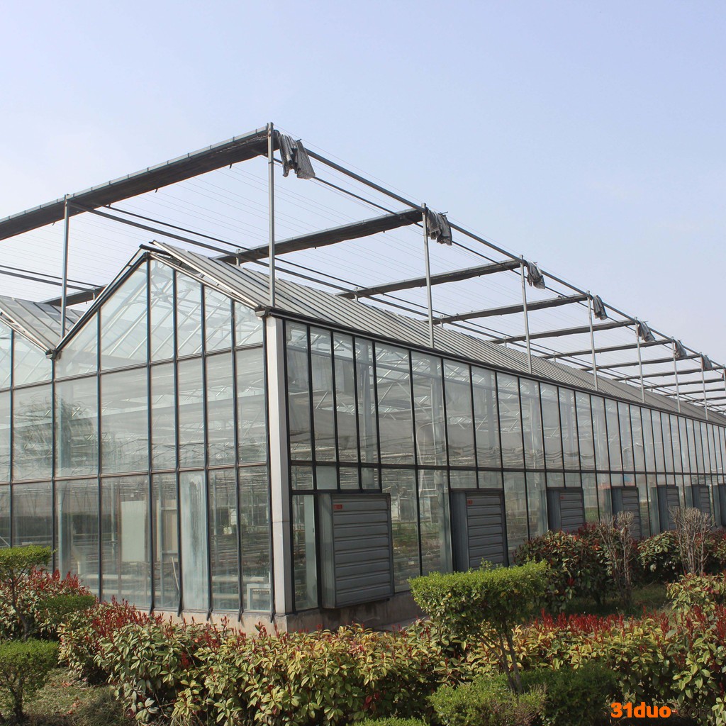 花卉智能玻璃温室建造商 鲁一温室 生态餐厅设计