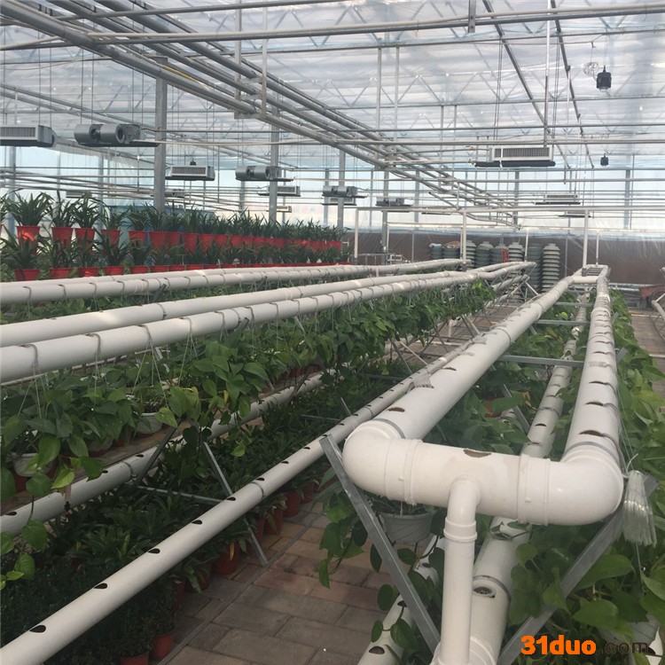 温室大棚 无土栽培 农业花卉连栋大棚 农业大棚设施批发