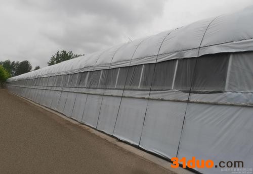 【育百寿】 蔬菜花卉大棚  黑白膜