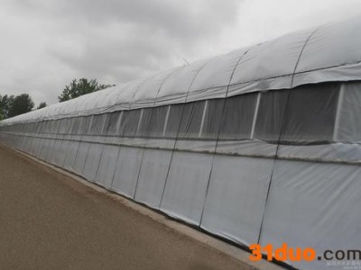 【育百寿】 蔬菜花卉大棚  黑白膜