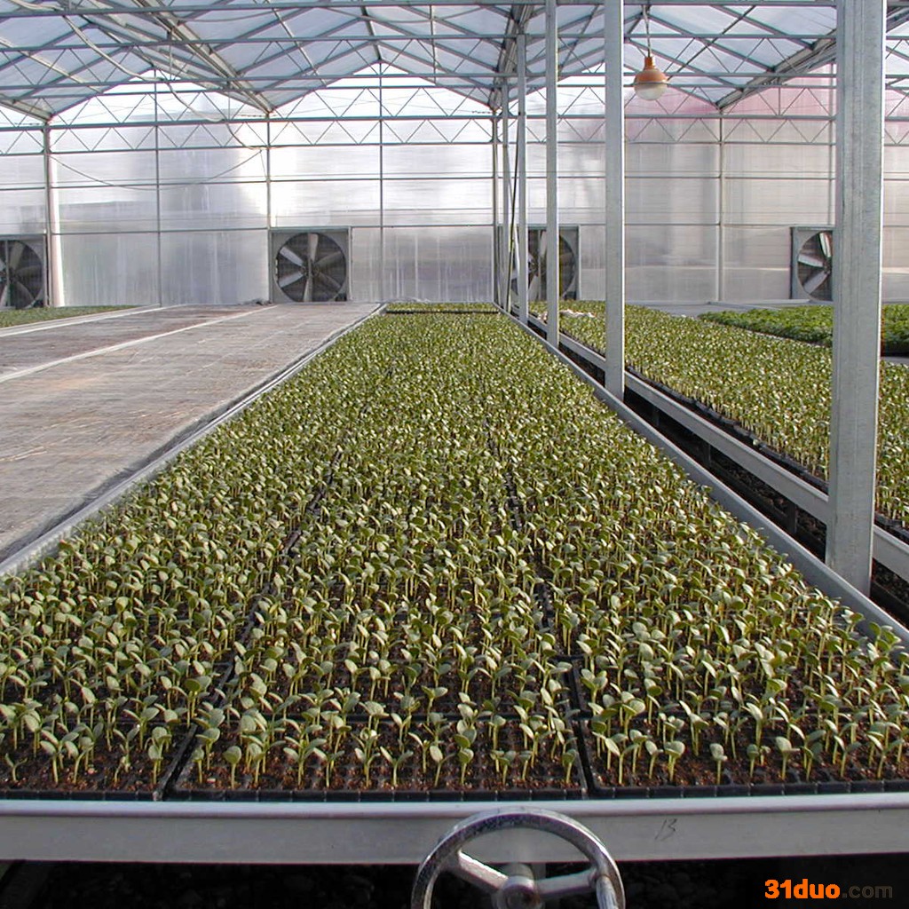 山东花卉温室大棚造价 欢迎来电咨询鲁一温室