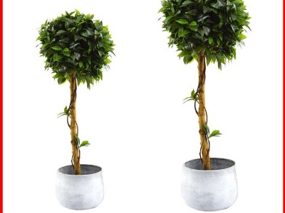 批发新款仿真绿植盆栽居家花卉室外植物布景商店绿化植物落地摆件