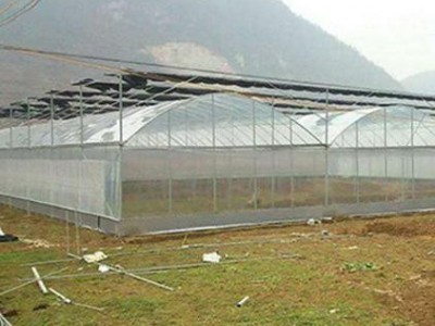 连栋薄膜温室设计 花卉大棚建造商 承接各类温室工程