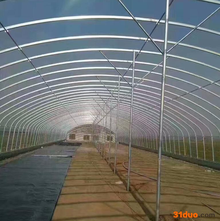 大棚管厂家生产花卉农业大棚管镀锌钢管4分6分1寸  椭圆管30*80 30*70 30*60 25*50长度尺寸可以定做