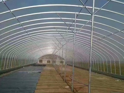 大棚管厂家生产花卉农业大棚管镀锌钢管4分6分1寸  椭圆管30*80 30*70 30*60 25*50长度尺寸可以定做