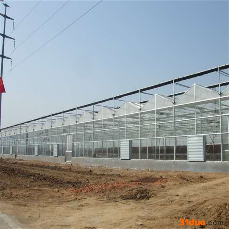 抗腐蚀温室连栋大棚 果树种植 花卉多肉植物大棚