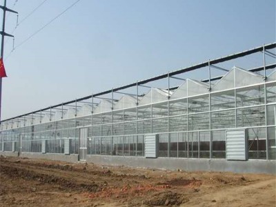 抗腐蚀温室连栋大棚 果树种植 花卉多肉植物大棚