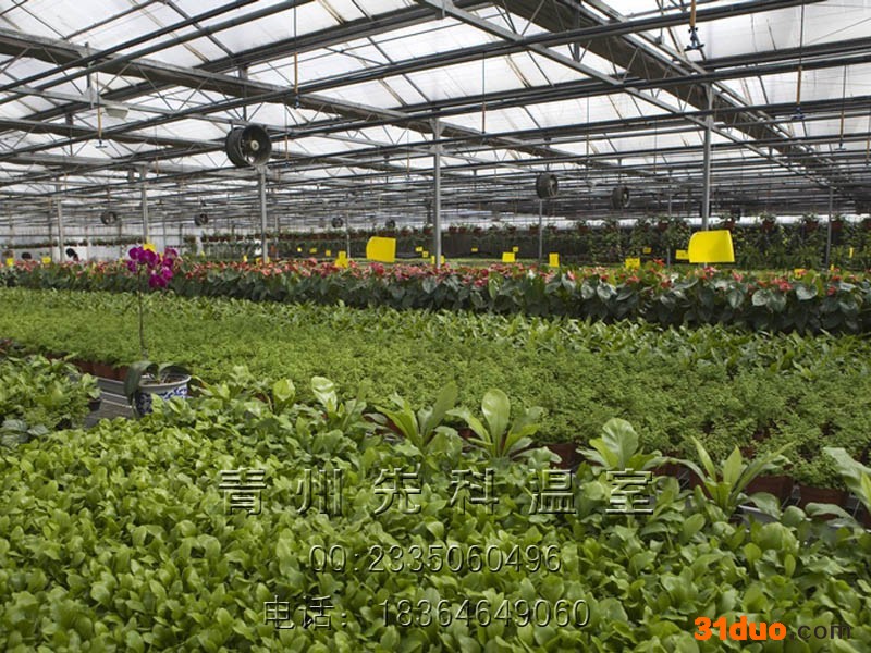 青州先科承建XKWE300-H花卉大棚—花卉展厅、花卉种植大棚