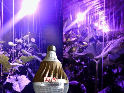 LED花卉补光灯  温室补光灯 植物生长灯 植物补光灯 黄瓜补光灯