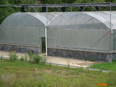 供应煌城连栋大棚蔬菜大棚 育苗温室大棚 花卉大棚 温室大棚工程 设计安装 温室大棚安装 温室大棚安装 连栋温室大棚