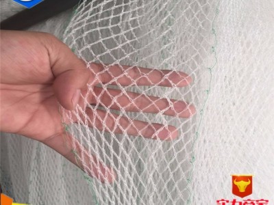 河北厂家供应全国果园防雹网、蔬菜防冰雹网、花卉防雹网 **价廉 加工定做